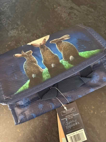 Photo of free Insulated lunch box bag (Kings norton B38) #3
