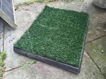 Photo of free Dog Toilet (Pilrig EH6) #2