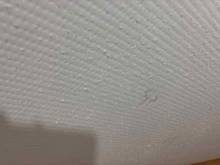 Photo of free Mattress topper for single bed (Islington N1) #2