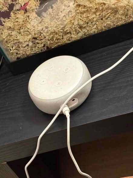 Photo of free Amazon Alexa (Southwest DC-Navy Yard) #1