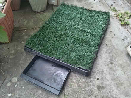 Photo of free Dog Toilet (Pilrig EH6) #1