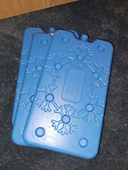 Photo of free Reusable freezer blocks ("Polar bear" make) (Battle RG30) #2