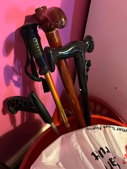 Photo of free Walking sticks and a grabber (Yaxley PE7) #1