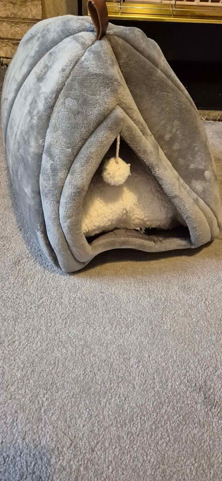 Photo of free Cat/small pet bed (Shepherds Bush W12) #1