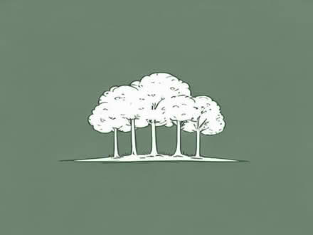 Photo of free Young trees (Summercourt TR8) #1
