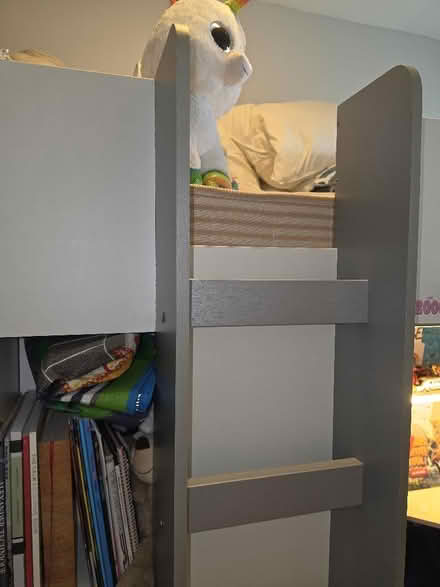 Photo of free bunk bed (Hartington Road BN2) #3