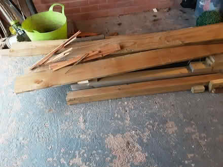 Photo of free One year old wood (Sidmouth EX10) #4