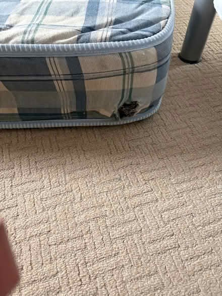 Photo of free Single mattress (CH8) #4