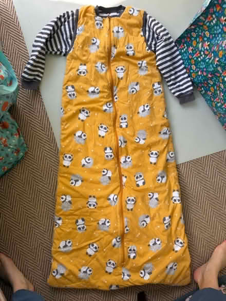 Photo of free x4 child 2.5 tog sleeping bags (South Kensington W8) #3