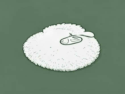 Photo of free Sheepskin rug (Basingstoke RG22) #1