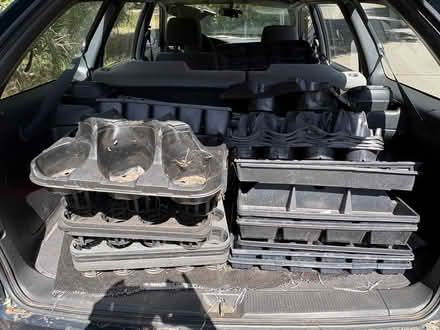 Photo of free lots of insert pot trays (Forest Knolls--west of Fairfax) #1