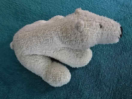 Photo of free Polar Bear Stuffy (West 7th) #1