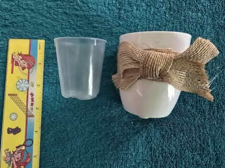 Photo of free Tiny Plant Pot (West 7th) #3