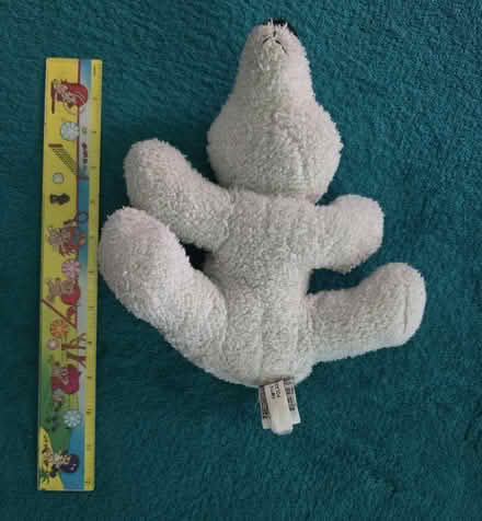 Photo of free Polar Bear Stuffy (West 7th) #3