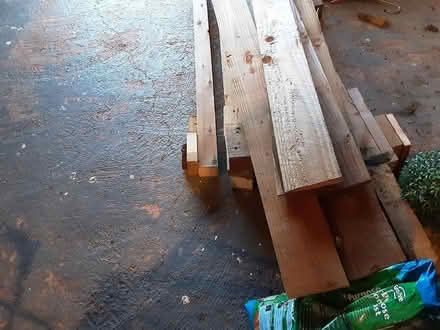 Photo of free One year old wood (Sidmouth EX10) #1