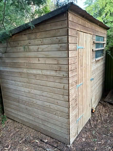 Photo of free Garden shed (Twickenham) #1