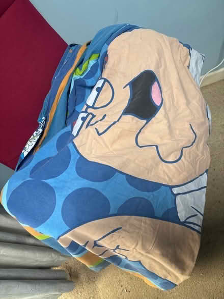 Photo of free Family Guy quilt cover . (Bideford EX39) #1