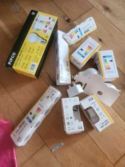 Photo of free Job Lot, Bulbs (PR9 0EA) #1