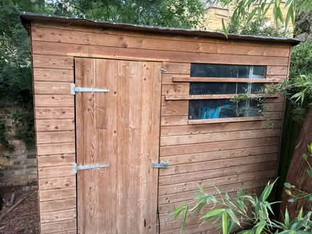 Photo of free Garden shed (Twickenham) #2