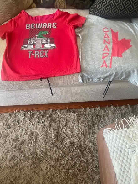 Photo of free 2 Doggie T shirts Medium (Kanata) #1