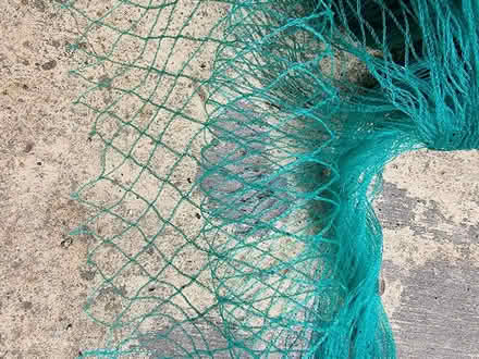 Photo of free Garden netting (Cliffe BN7) #2