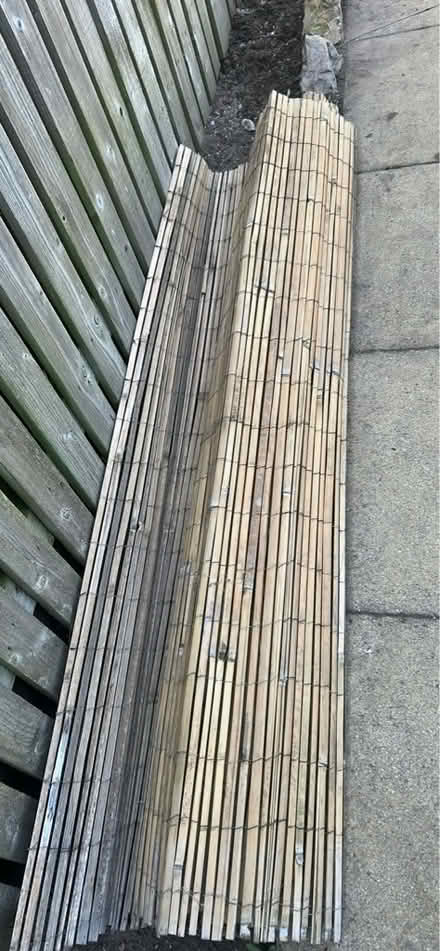 Photo of free Bamboo Screening (Plumpton CA11) #1