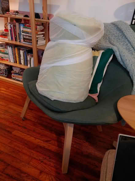 Photo of free Plain foam (Lower Washington Heights) #1