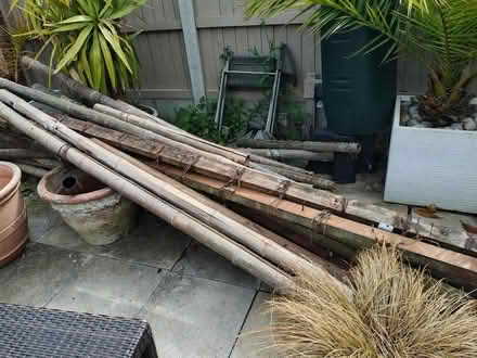 Photo of free Bamboo canes and poles (Clacton-on-Sea CO15) #2