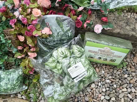 Photo of free Various Assorted Plastic Plants Joblot Bundle (Woodstock OX20) #4