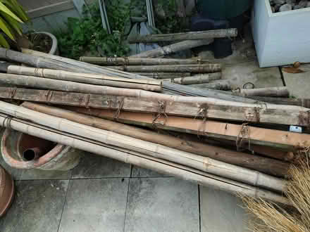 Photo of free Bamboo canes and poles (Clacton-on-Sea CO15) #3