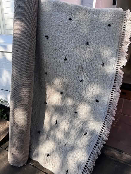 Photo of free Beautiful spotted rug 160*230cm (Streatham hill SW2) #1