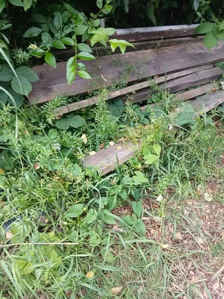 Photo of free Wood (Woodhouse S13) #1