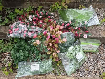 Photo of free Various Assorted Plastic Plants Joblot Bundle (Woodstock OX20) #1