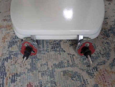Photo of free Very good wooden toilet seat (Abingdon, OX14 3TD) #4
