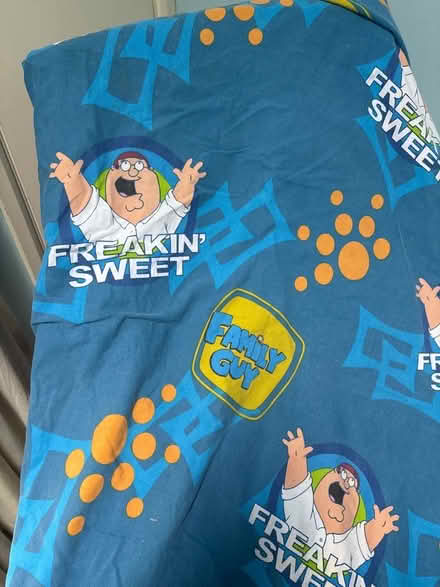 Photo of free Family Guy quilt cover . (Bideford EX39) #2