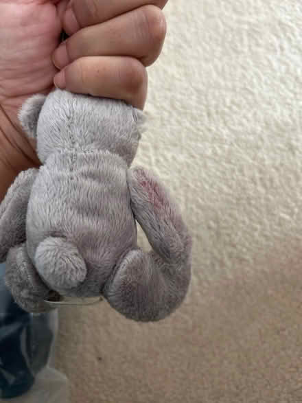 Photo of free Bear keyring (KT3 new malden) #2