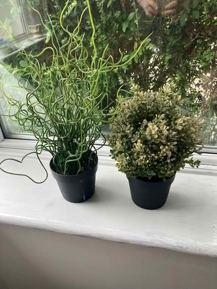 Photo of free Two plastic fake plants (Oxford OX3) #1
