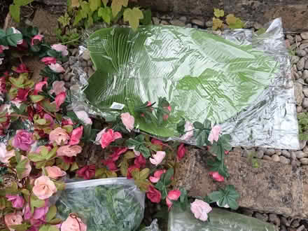 Photo of free Various Assorted Plastic Plants Joblot Bundle (Woodstock OX20) #3