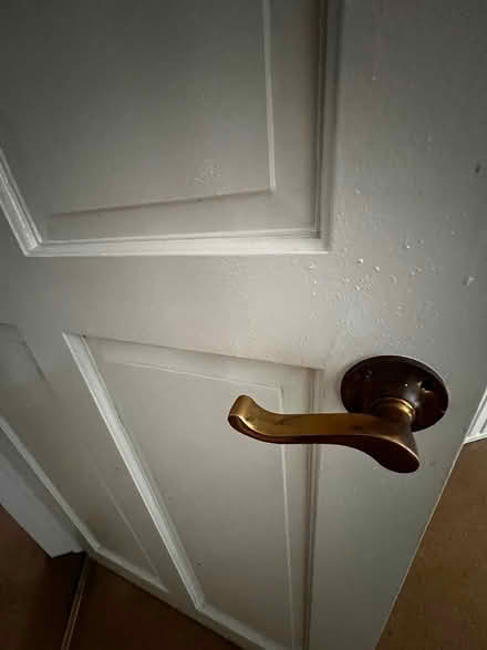 Photo of free Internal doors (Billericay CM12) #2