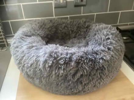Photo of free Cat bed (Orton Waterville PE2) #1