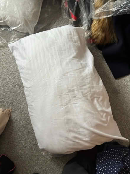 Photo of free Pillows (Norwich) #1