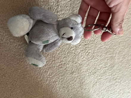 Photo of free Bear keyring (KT3 new malden) #1