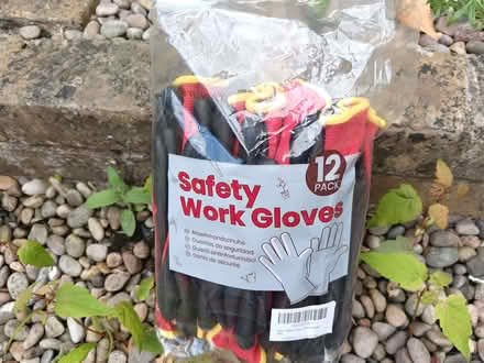 Photo of free Safety Gluves (Woodstock OX20) #1