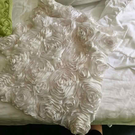 Photo of free 2 small bed cushion pads , 2 sets covers and 2 green bed c (Clive Vale TN35) #3
