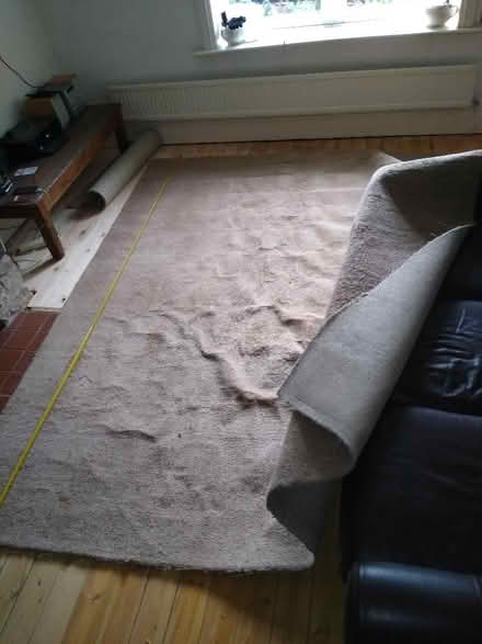 Photo of free Carpet (Heaton BD9) #4