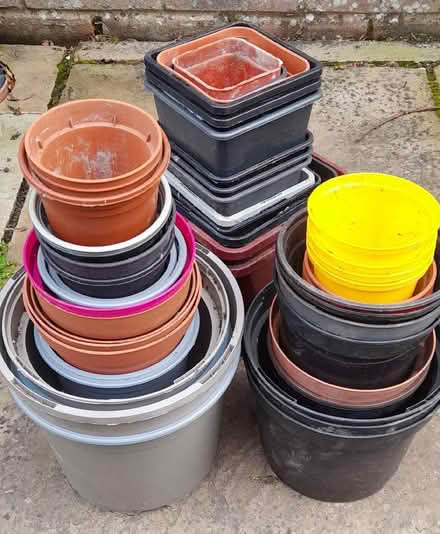 Photo of free Potiau planhigion/Plant pots (Bangor LL57) #1