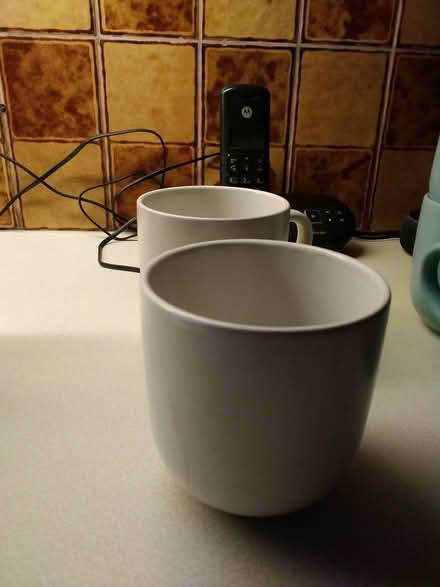 Photo of free cups, glasses and plates (Lee SE12) #2