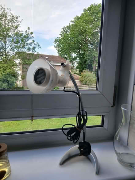 Photo of free Little table lamp (Drum Brae EH4) #2