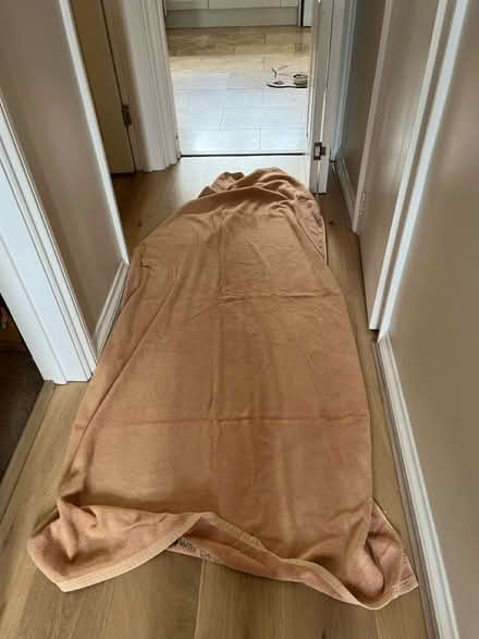 Photo of free 2 giant towels (Hemel Hempstead) #1