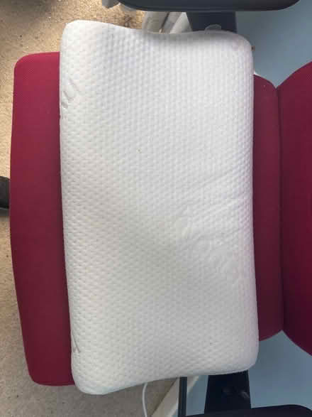 Photo of free Hypnia pillow (Bideford EX39) #1